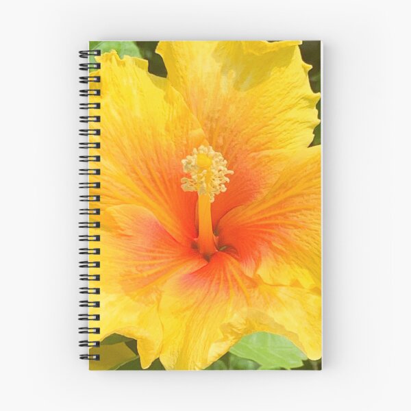 Item preview, yellow hibiscus flower with curled petal edges designed and sold by Nature Photography by Wendi Gordon.