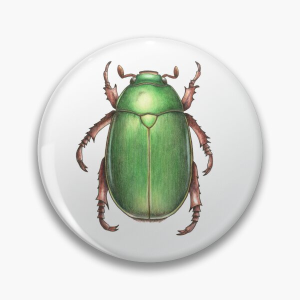 Item preview, Christmas Beetle(anoplognathus aeneus) designed and sold by Suzanne Houghton.