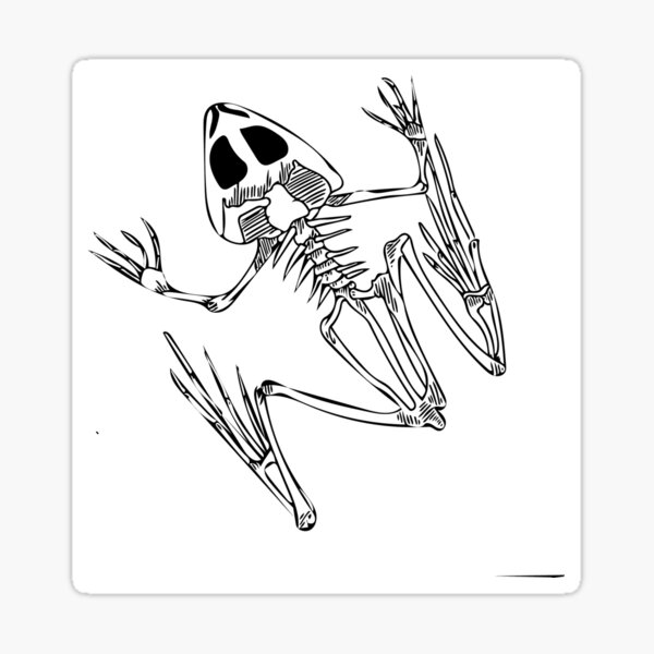 Item preview, Frog Bones designed and sold by Zoe Bevans.