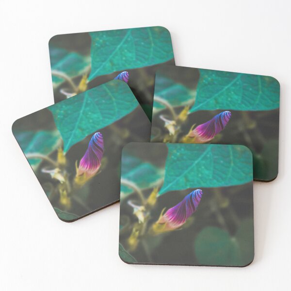 Item preview, Photograph of Morning Glory Bud designed and sold by FirebrandFoxx.