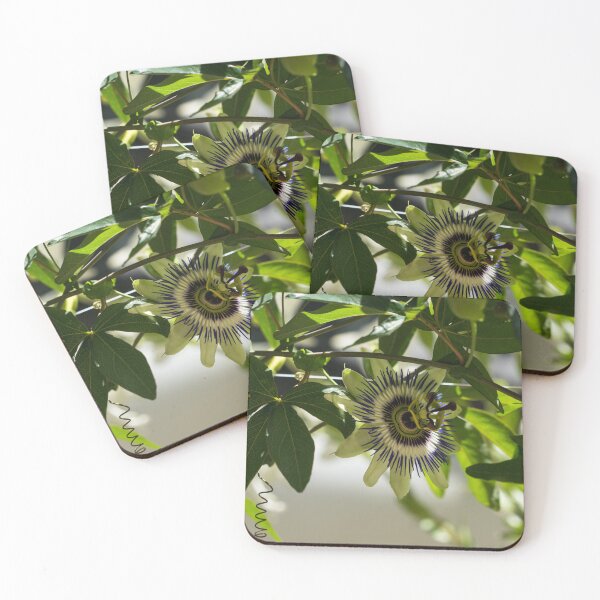 Item preview, Passion Fruit Flower - Exotic Gift from South America designed and sold by Georgia Mizuleva.