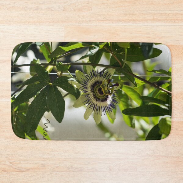 Item preview, Passion Fruit Flower - Exotic Gift from South America designed and sold by Georgia Mizuleva.