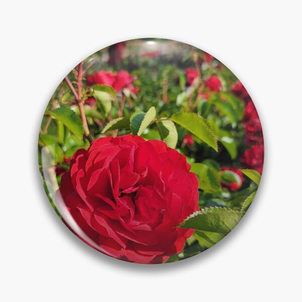 Item preview, Red rose designed and sold by LionARTE.