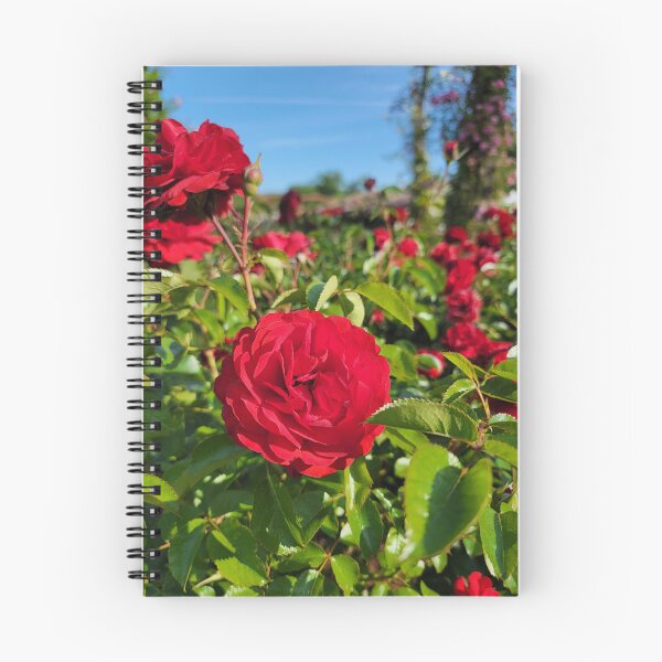 Item preview, Red rose designed and sold by LionARTE.