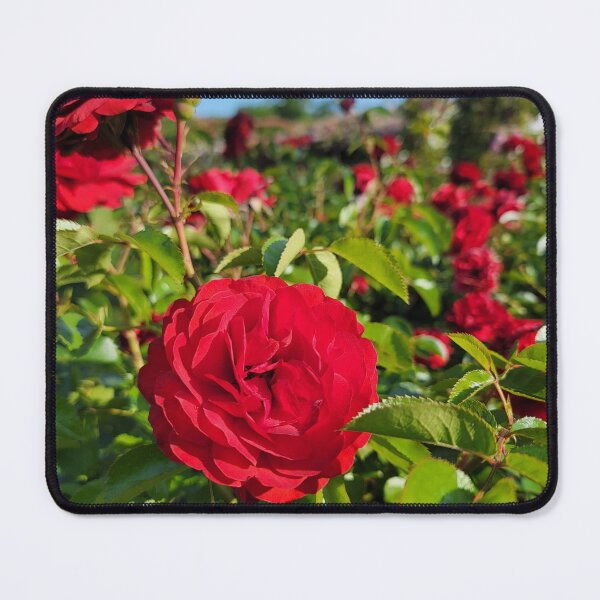 Item preview, Red rose designed and sold by LionARTE.