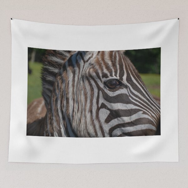 Item preview, Zebra designed and sold by uzasynystersyn.
