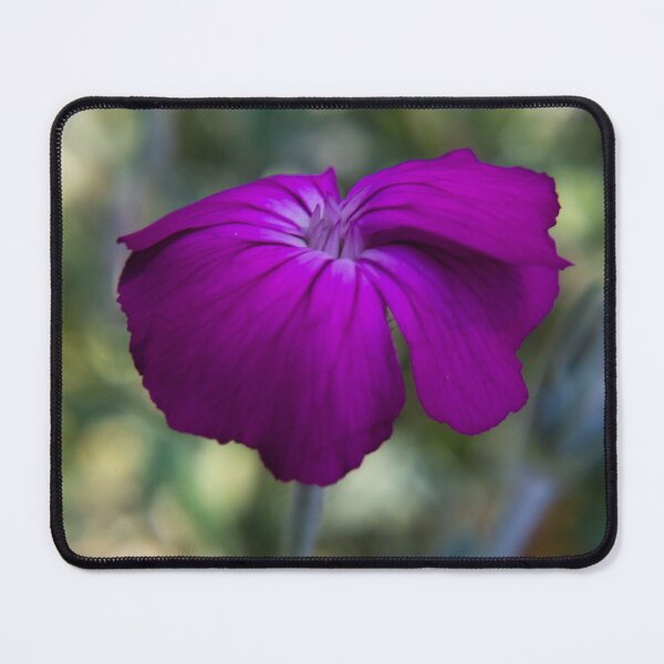 Item preview, Rose Campion designed and sold by Dismal-Rain.