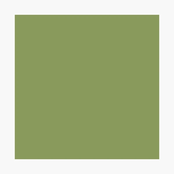 Moss Green color - #8A9A5B - The Official Register of Color Names