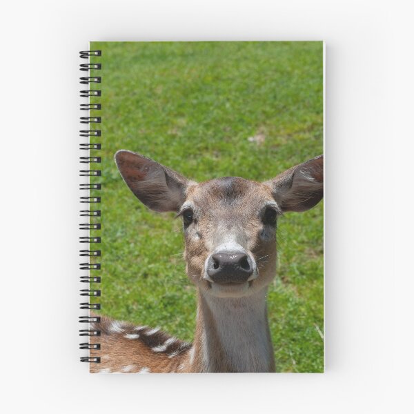 Item preview, Oh Deer designed and sold by uzasynystersyn.