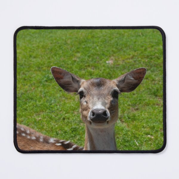 Item preview, Oh Deer designed and sold by uzasynystersyn.