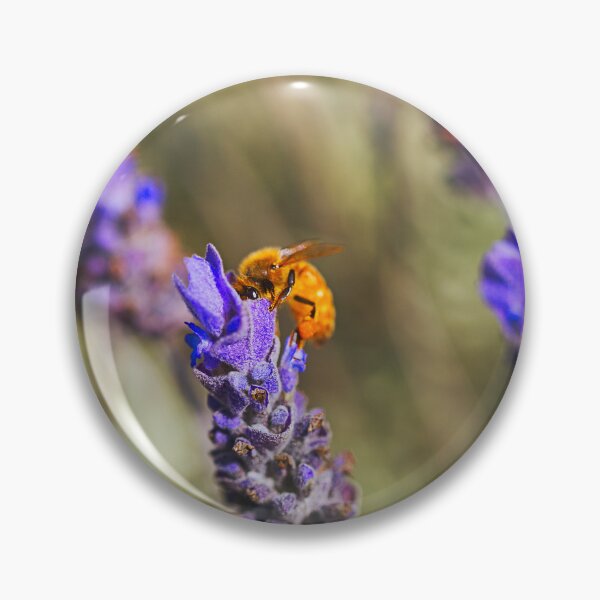 Artikelvorschau, Bienen schlemmen in Lavendelblüten entworfen und verkauft von Joy Watson - Natural Light Photography .