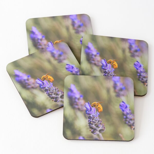 Item preview, Bee Feasting In Lavender Flowers designed and sold by Joy Watson - Natural Light Photography .