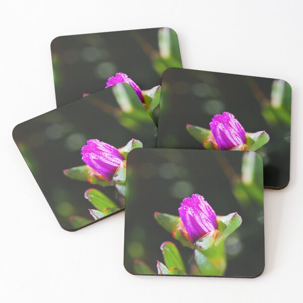 Item preview, Pigface Plant Pink Flower designed and sold by Joy Watson - Natural Light Photography .