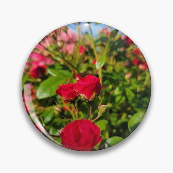 Item preview, Red roses designed and sold by LionARTE.