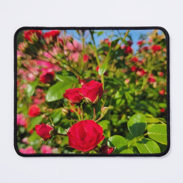 Item preview, Red roses designed and sold by LionARTE.