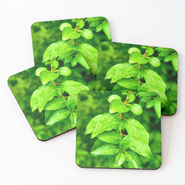Item preview, Leaves in the rain designed and sold by ArztNacht.