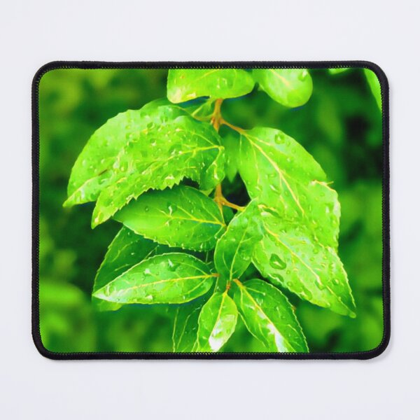 Item preview, Leaves in the rain designed and sold by ArztNacht.