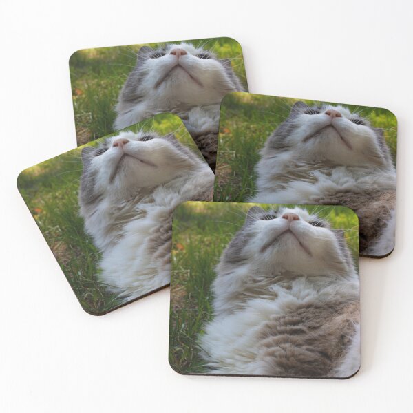 Item preview, Senior Cat designed and sold by Dismal-Rain.