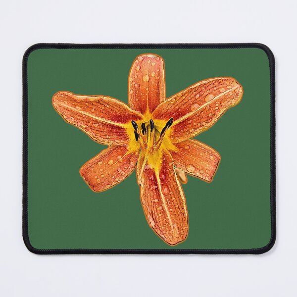 Item preview, Rainy tiger lily designed and sold by ArztNacht.