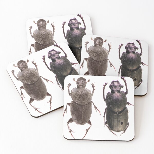 Item preview, brown scarab brothers with thorny legs designed and sold by AydenWolfe47.