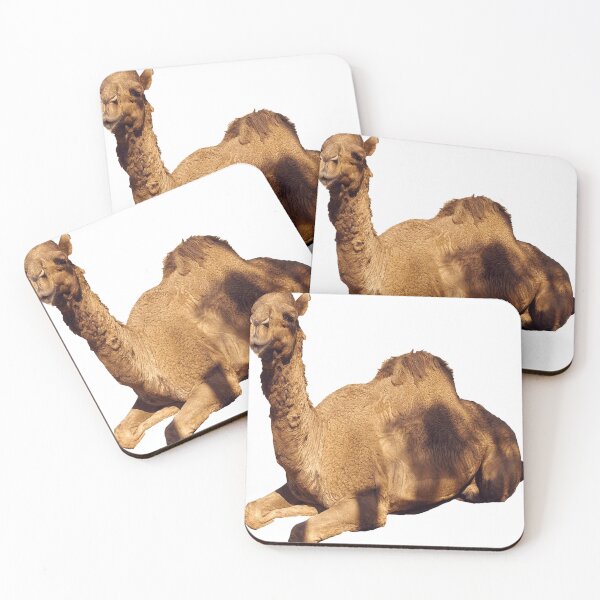 Item preview, tired brown camel resting designed and sold by AydenWolfe47.
