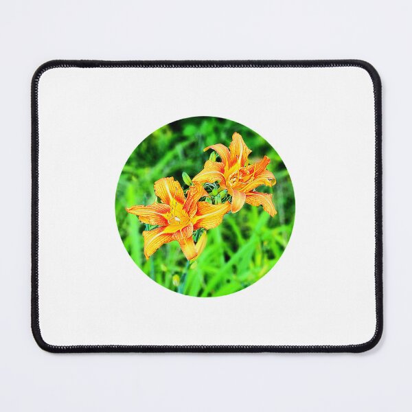 Item preview, Tiger lilies in bloom designed and sold by ArztNacht.