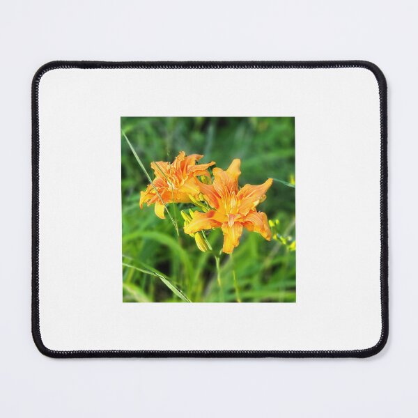Item preview, Bloomed lilies designed and sold by ArztNacht.