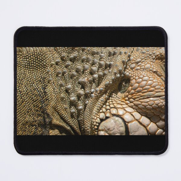 Item preview, Scale Symphony designed and sold by Camerek.