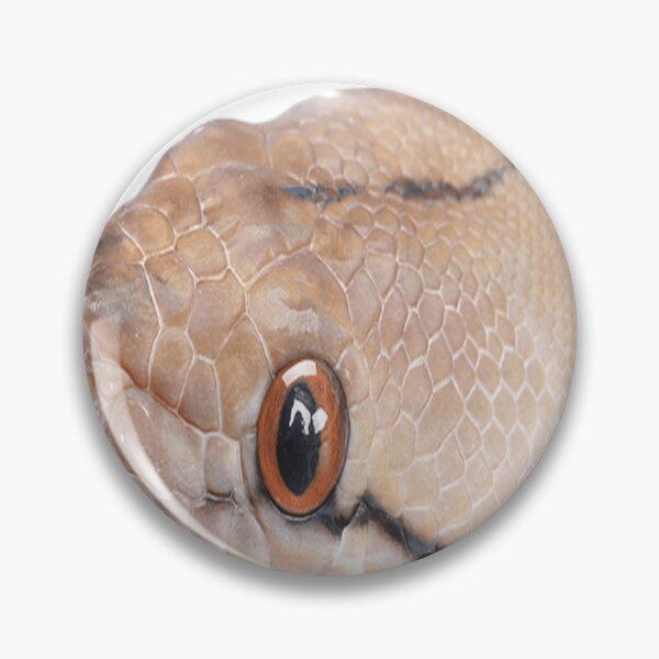 Item preview, Brown python head with scary big eyes designed and sold by LauAvila78.