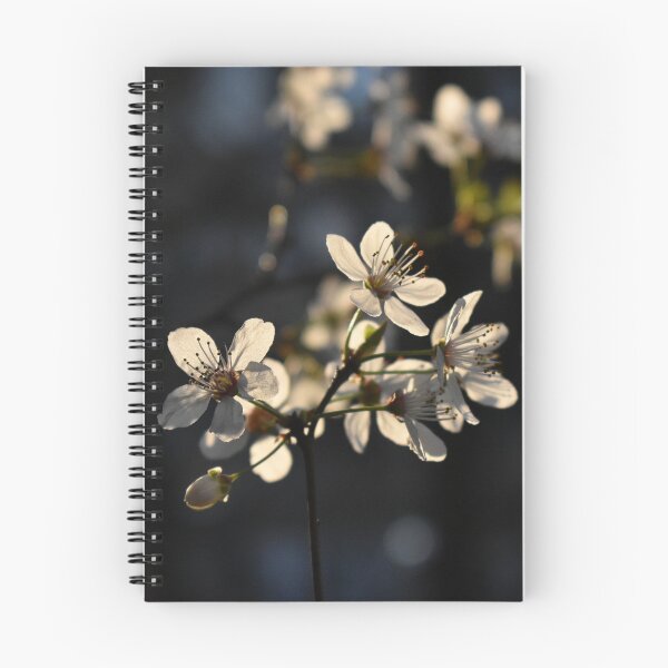 Item preview, Spring vibe cherry blossom designed and sold by mariya-ivanova.