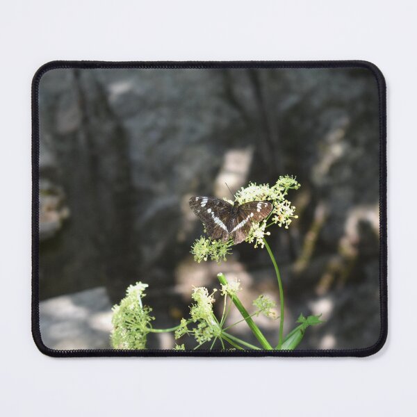 Item preview, Butterfly in the forest designed and sold by mariya-ivanova.
