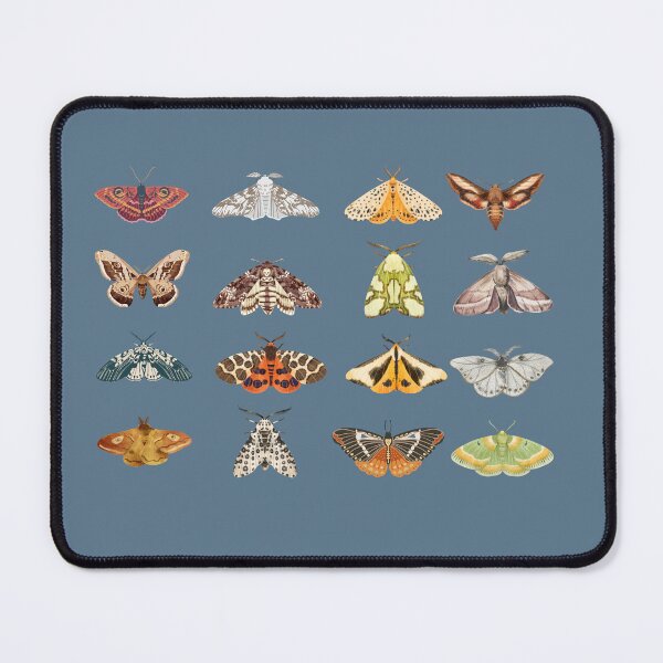 Item preview, Moth Pattern designed and sold by EmLosin.