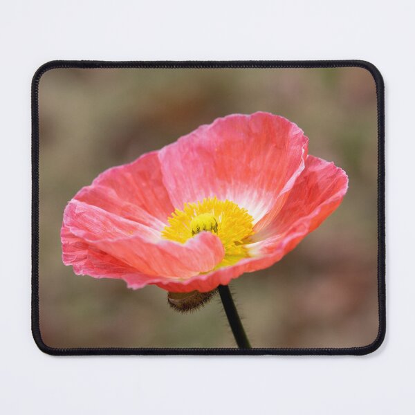 Item preview, Tenacity designed and sold by Jacquiamber.