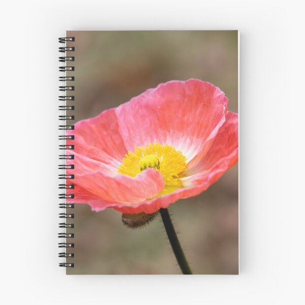 Item preview, Tenacity designed and sold by Jacquiamber.