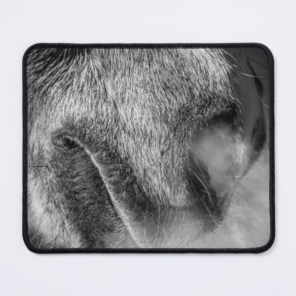 Item preview, A Chill in the Air designed and sold by Peter Evans.