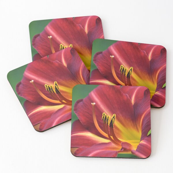 Item preview, Nectar  designed and sold by SaraTomlinson55.