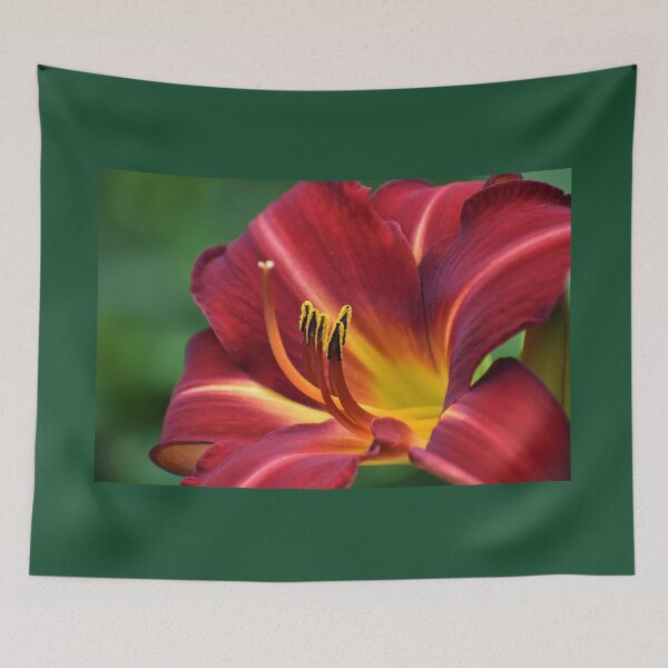 Item preview, Nectar  designed and sold by SaraTomlinson55.