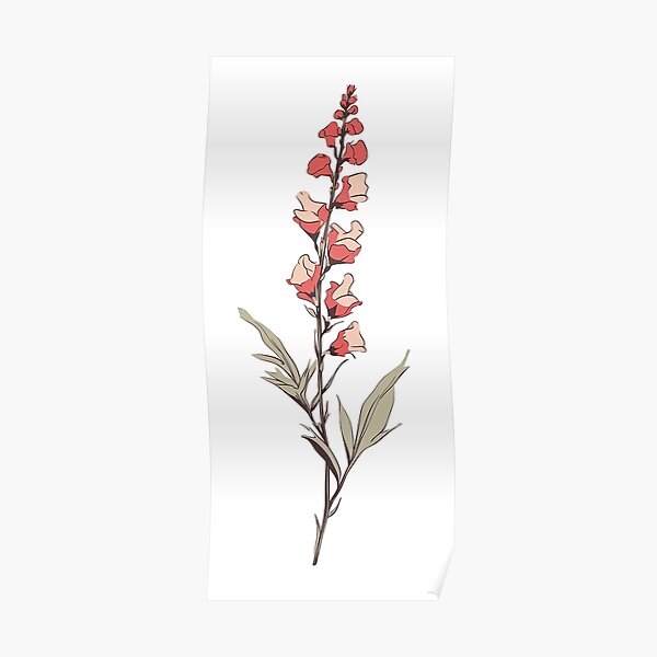 Snapdragon  Tulip Sticker for Sale by laurenreedart  Redbubble