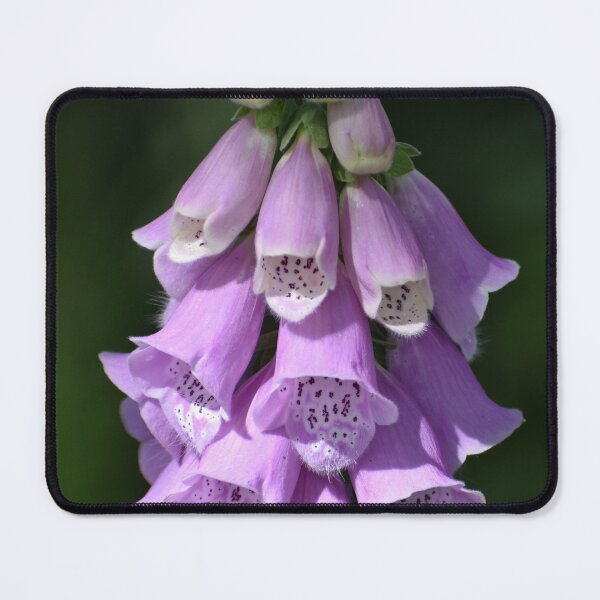 Item preview, Foxglove designed and sold by SaraTomlinson55.