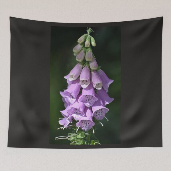 Item preview, Foxglove  designed and sold by SaraTomlinson55.