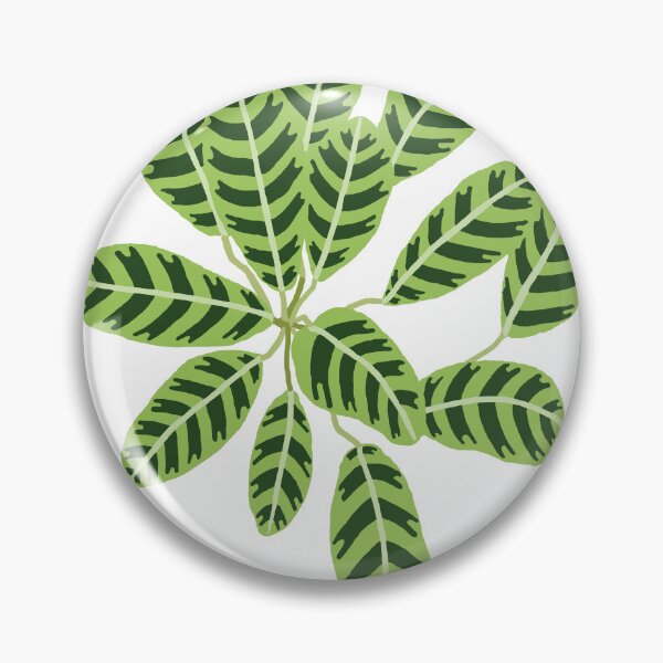 Item preview, Calathea cebrina designed and sold by Grey Heron Images.