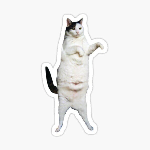 Funny Pop Music Cat Dancing Sticker for Sale by THANKS4BUYING