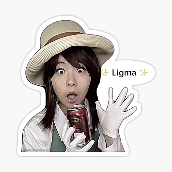 Ligma Jokes Stickers for Sale