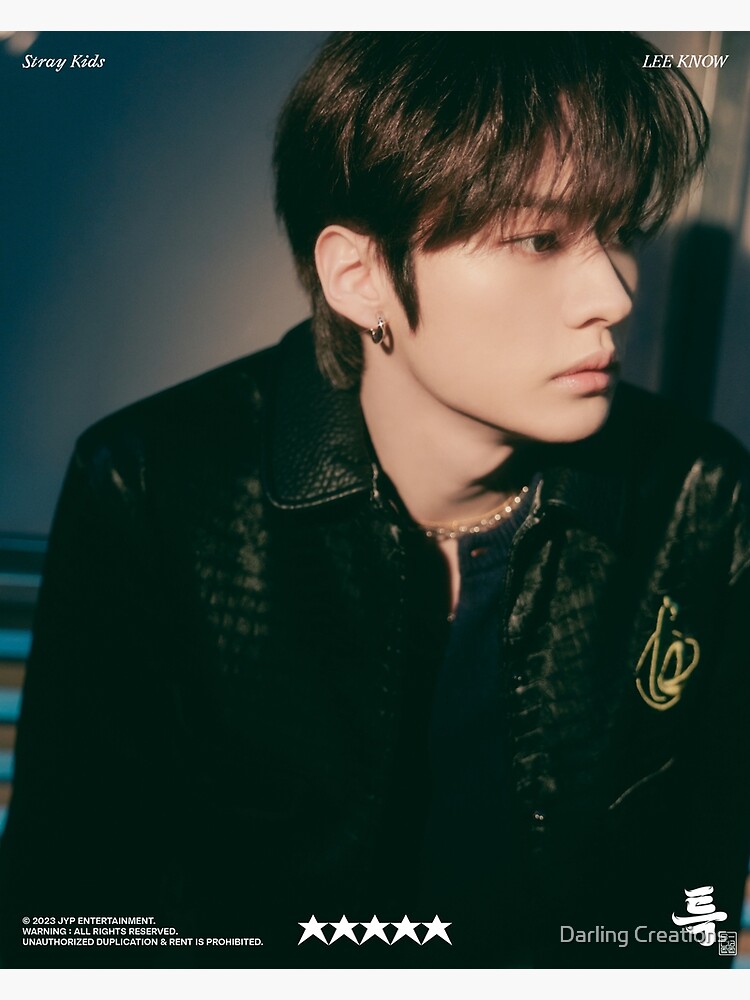 STRAY KIDS LEEKNOW