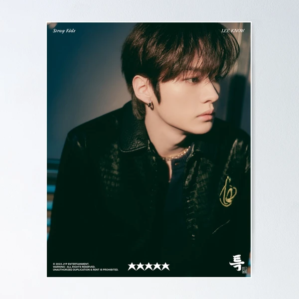 STRAY KIDS LEEKNOW