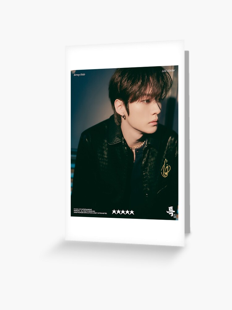 タレントカード Stray Kids LeeKnow Stray Kids LeeKnow THE SOUND Sony music JAPAN Lucky draw
