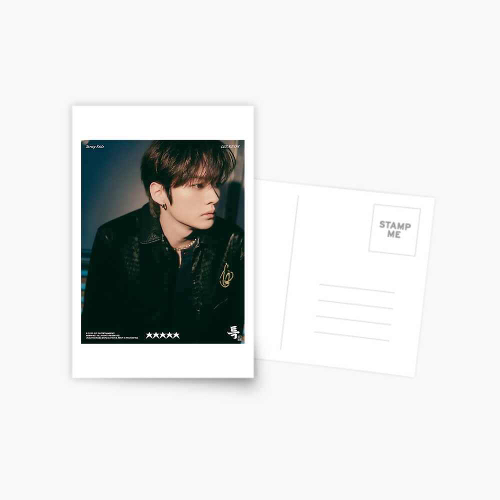STRAY KIDS LEEKNOW