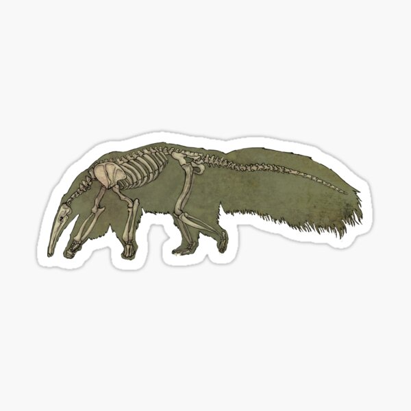 T Pose Anteater Sticker for Sale by AnteaterGuy