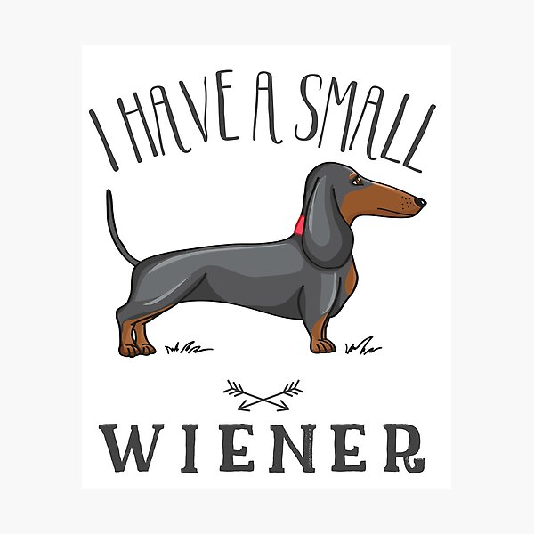 wiener dog store