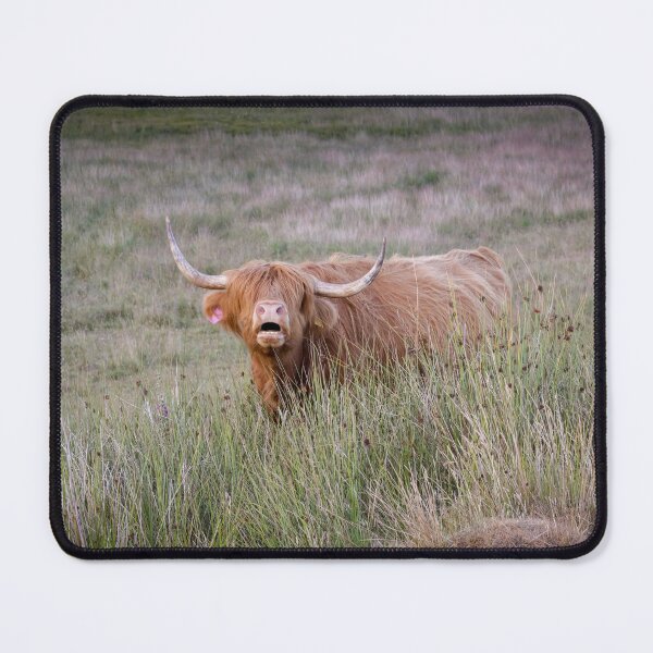 Artikelvorschau, Der Heelan Coo entworfen und verkauft von Leighton Collins.